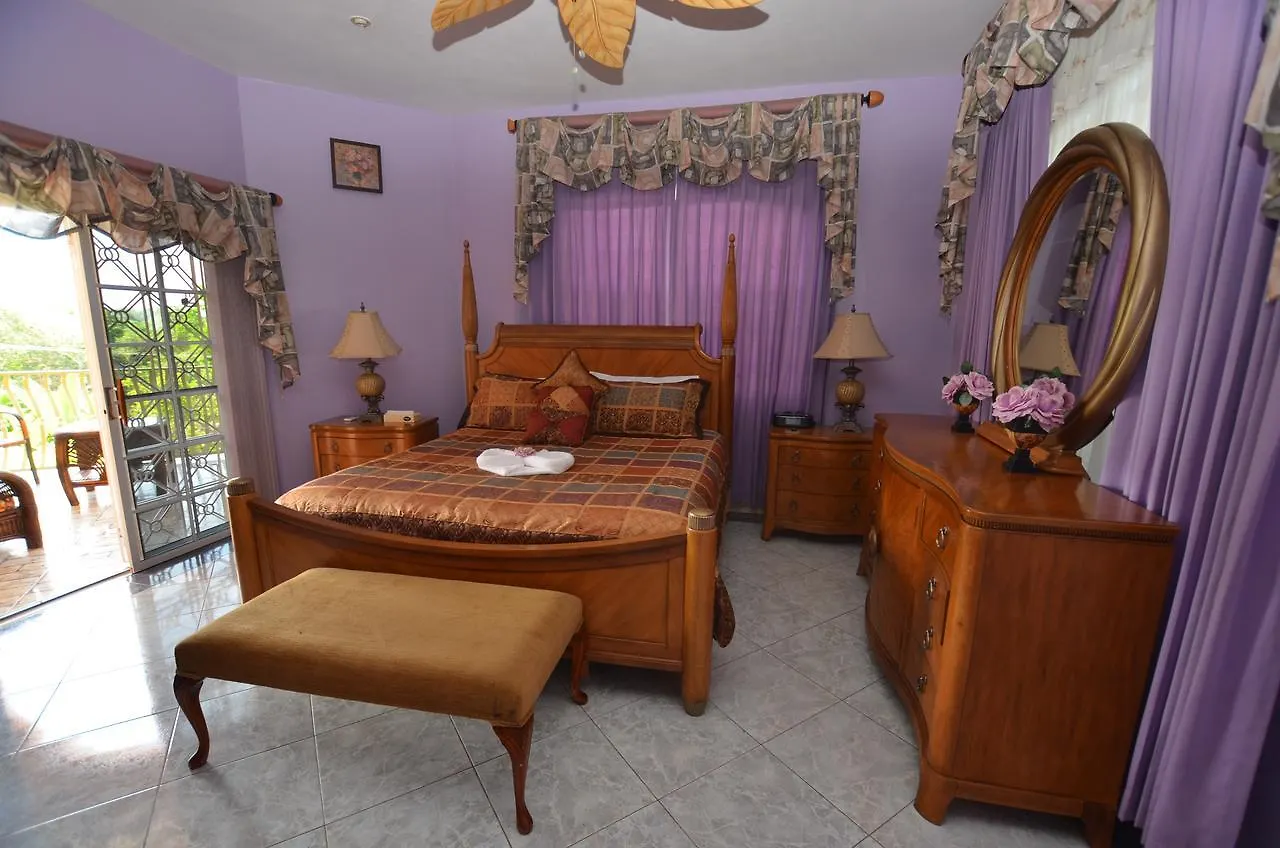Dream Castle Eight Bedroom Villa Montego Bay 0*,